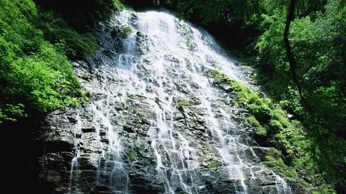 高效高质量高性能